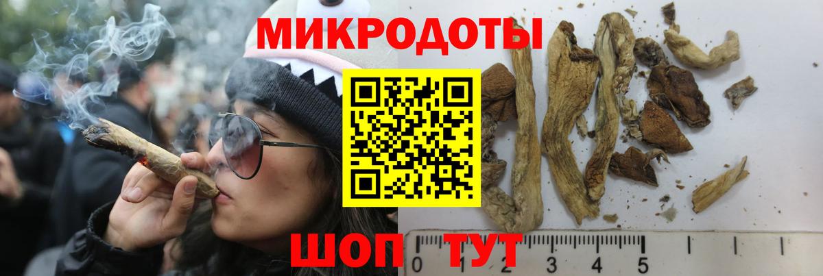 Балашиха  Псилоцибиновые грибы мицелий  Вход с VPN 